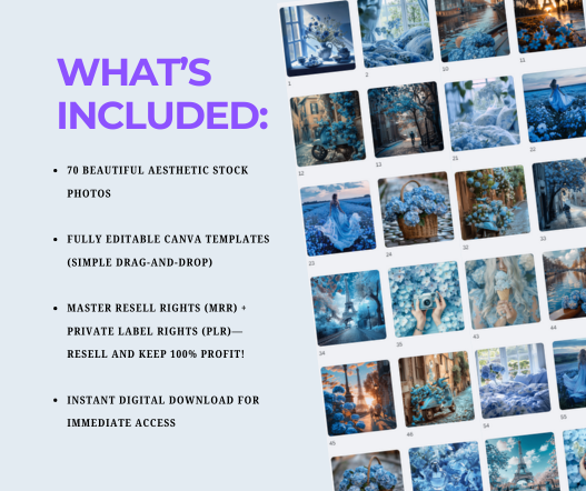 Complete Aesthetic Stock Photos Bundle